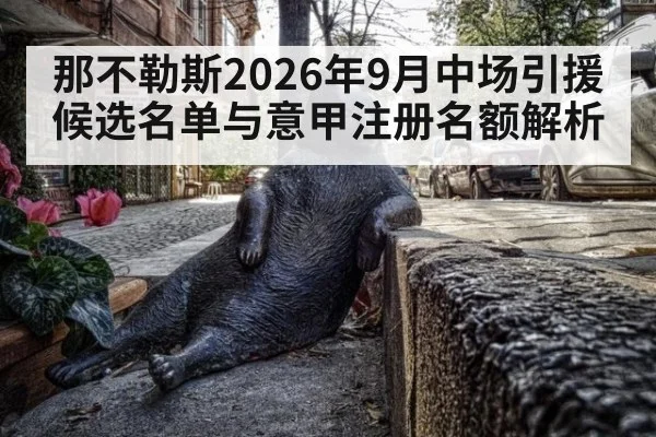 那不勒斯2026年9月中场引援候选名单与意甲注册名额解析