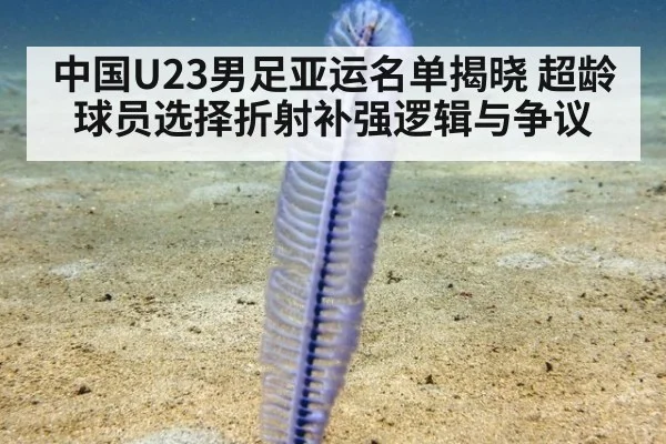 中国U23男足亚运名单揭晓 超龄球员选择折射补强逻辑与争议